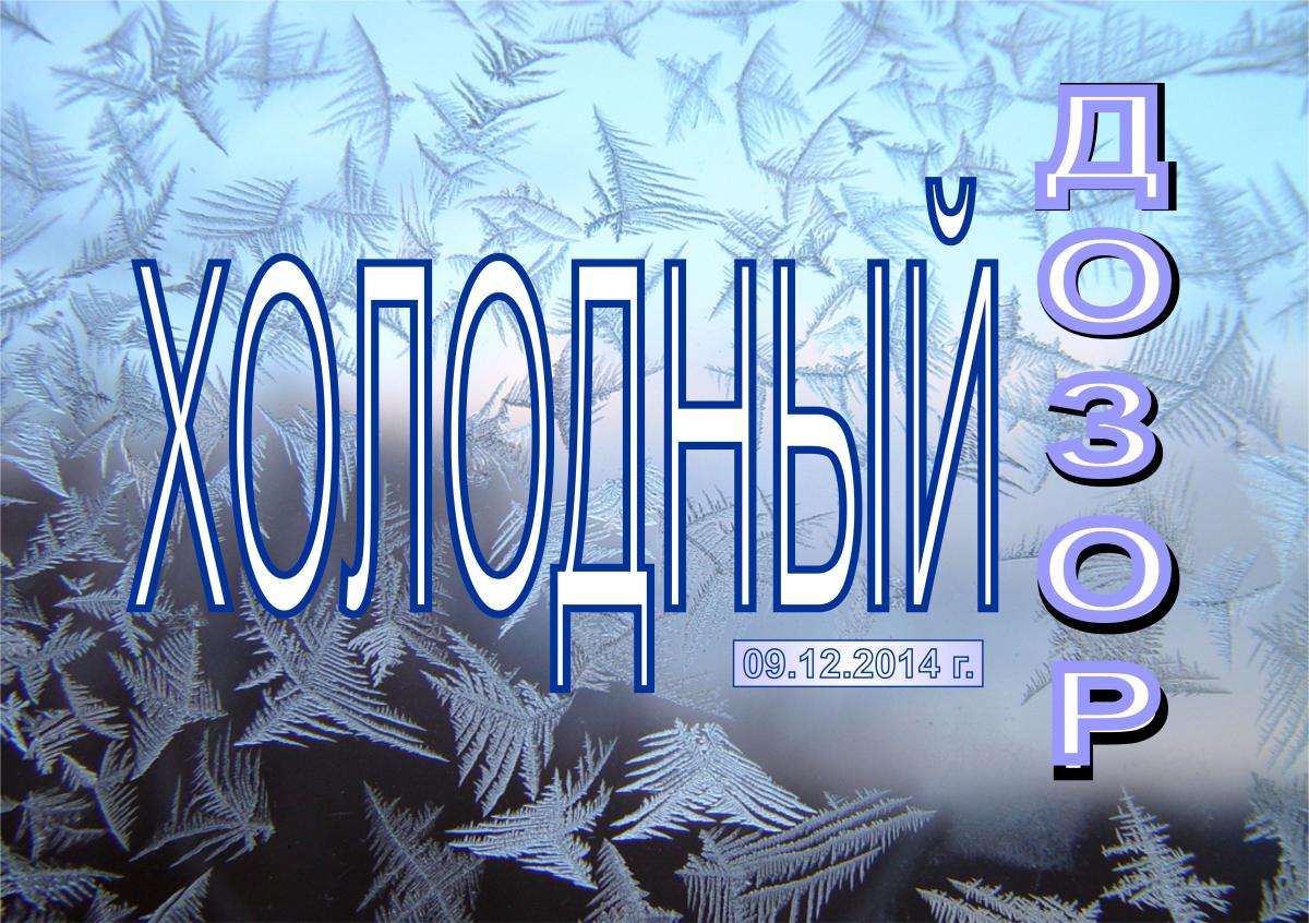 Итоги студенческого лесного конкурса "Холодный Дозор"