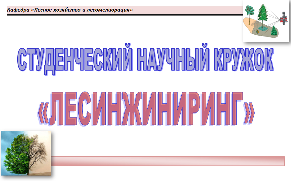 Очередное заседание студенческого научного кружка «ЛЕСИНЖИНИРИНГ»