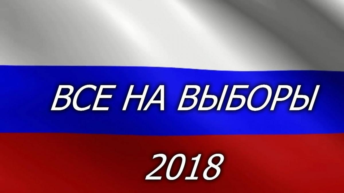 Все на выборы!