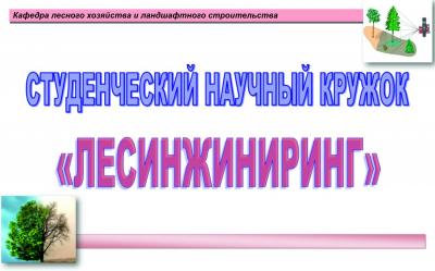 Состоялось очередное заседание студенческого научного кружка "ЛЕСИНЖИНИРИНГ"