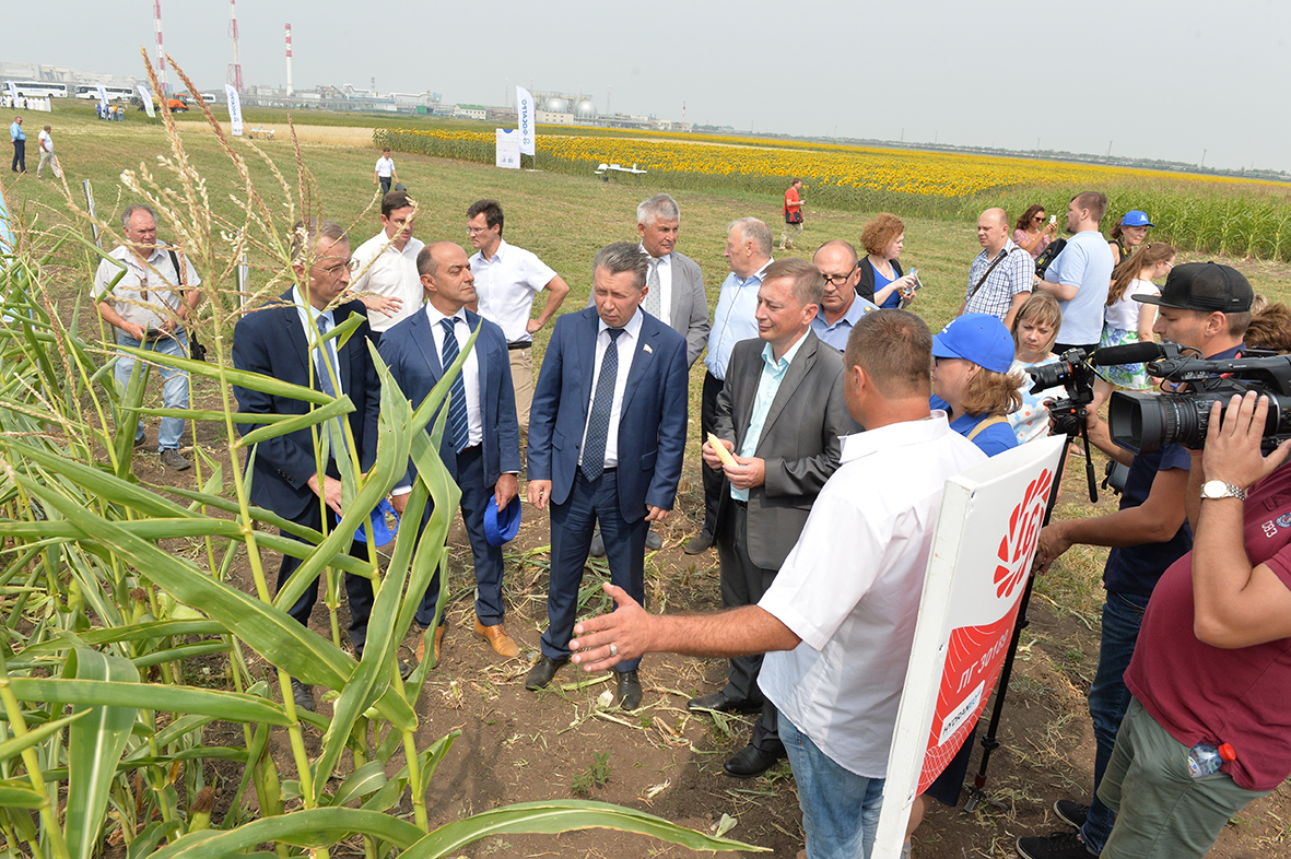 "День поля" на базе Балаковского филиала АО «Апатит»