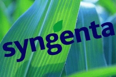 «Студенты Syngenta - 2019»