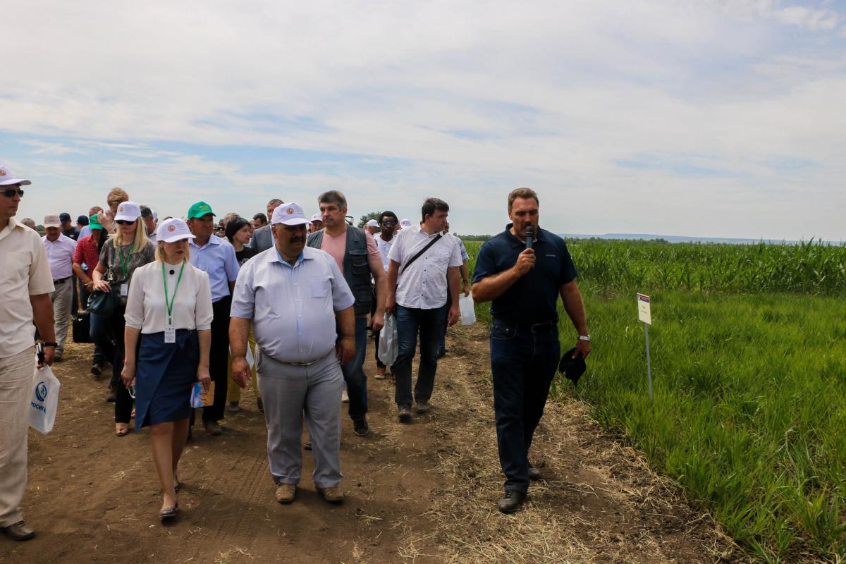 День поля 2019