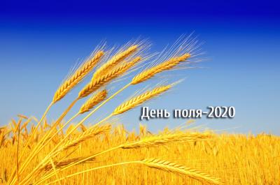 День Поля 2020