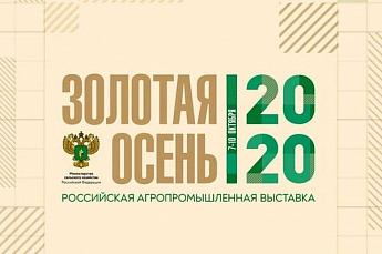 Круглые столы выставки «Золотая осень 2020»