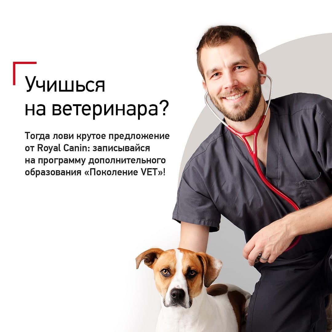 Программа дополнительного образования поколение VET»  для студентов 3-5-го курса ветеринарных вузов.