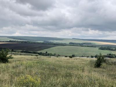 Итоги Регионального заочного конкурса фоторабот «ЛЕС И ЧЕЛОВЕК», посвященном 100-летию подготовки кадров для лесной отрасли в университете