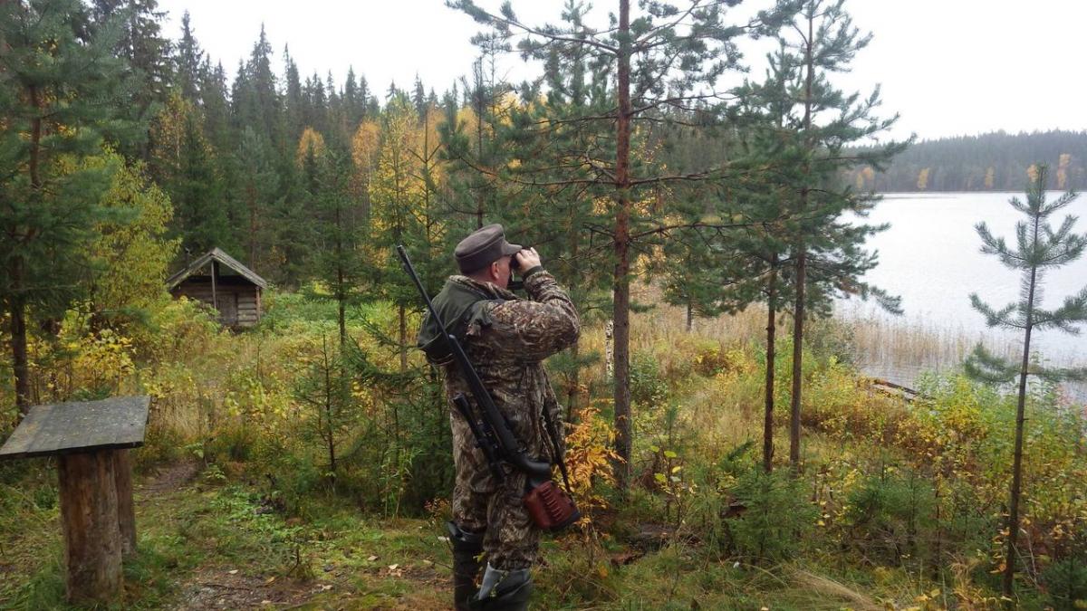 Направление подготовки: 35.04.01 Лесное дело. Фото 1