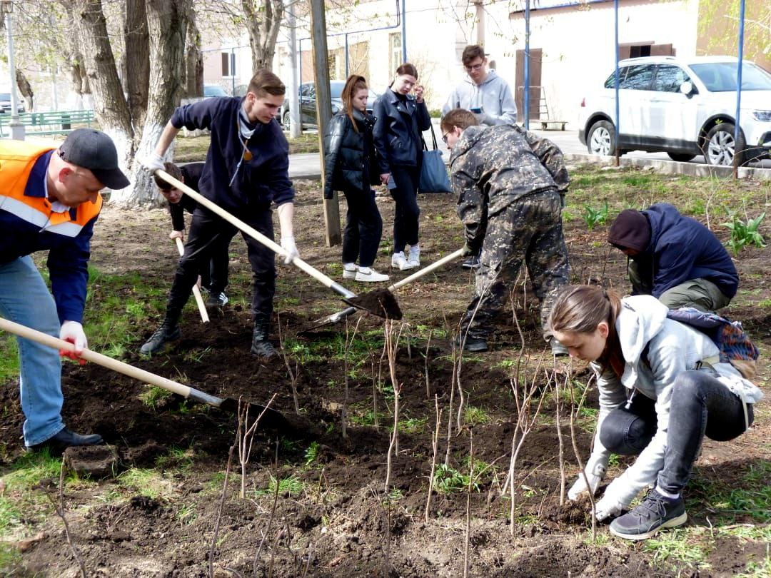 4.1.6 Лесоведение, лесоводство, лесные культуры, агролесомелиорация, озеленение, лесная пирология и таксация. Фото 1