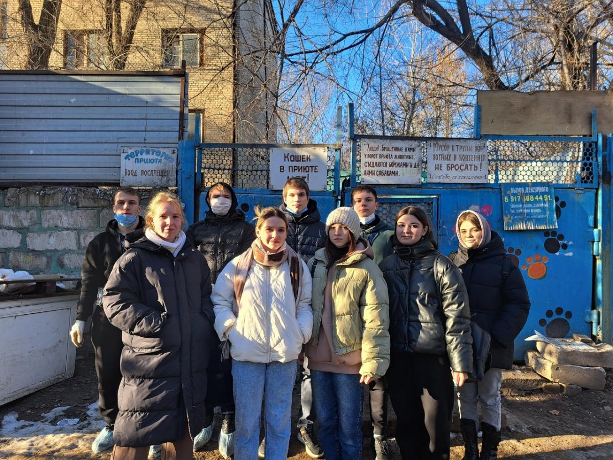 Поездка в приют