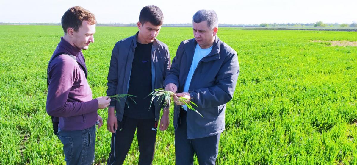 Осмотр состояния опытного участка учеными агрономического факультета