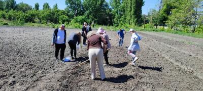 Селекционный посев в УНПК "Агроцентр"