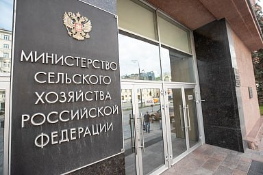 Глава Минсельхоза рассказала о предварительных итогах уборки урожая